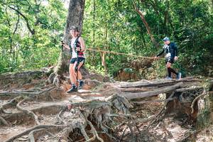 BIB: 
                            <button type="button" onclick="openModal(27721730)" class="btn btn-primary btn-sm float-right btn-popup" data-toggle="modal" data-target=".modal-high-quality">
                        <i class="fas fa-shopping-cart"></i> Add to Cart
                    </button>
                                            <button type="button" onclick="isThisMe(27721730, true)" class="btn btn-success btn-sm float-right btn-popup btn-isme hidden" data-toggle="tooltip" data-placement="bottom" title="นี่คือรูปของคุณใช่ไหม คลิกที่นี่เพื่อเอาเข้าอัลบั้ม">
                        <i class="fas fa-plus"></i> Add to album
                    </button>
                    <button type="button" onclick="isThisMe(27721730, false)" class="btn btn-warning btn-sm float-right btn-popup btn-isnotme hidden">
                        <i class="fas fa-ban"></i> Remove from album
                    </button>